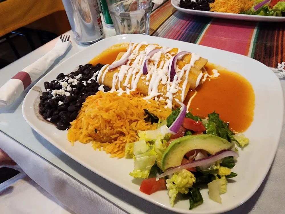 Enchiladas Plate 3 Veggie Option